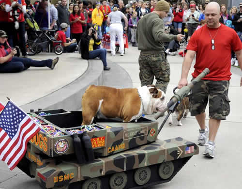 2015 Krewe of Mutts parade theme Marvelous Mutts Picture