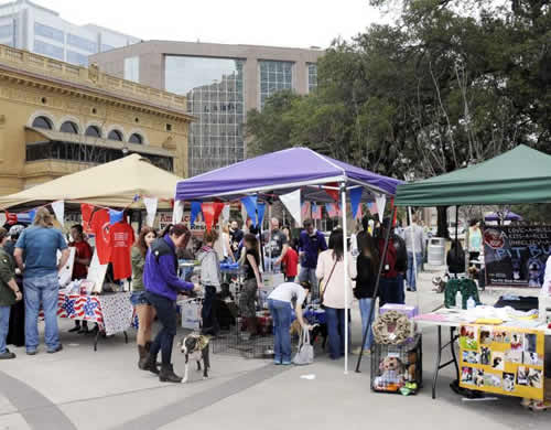 2015 Krewe of Mutts parade theme Marvelous Mutts Picture